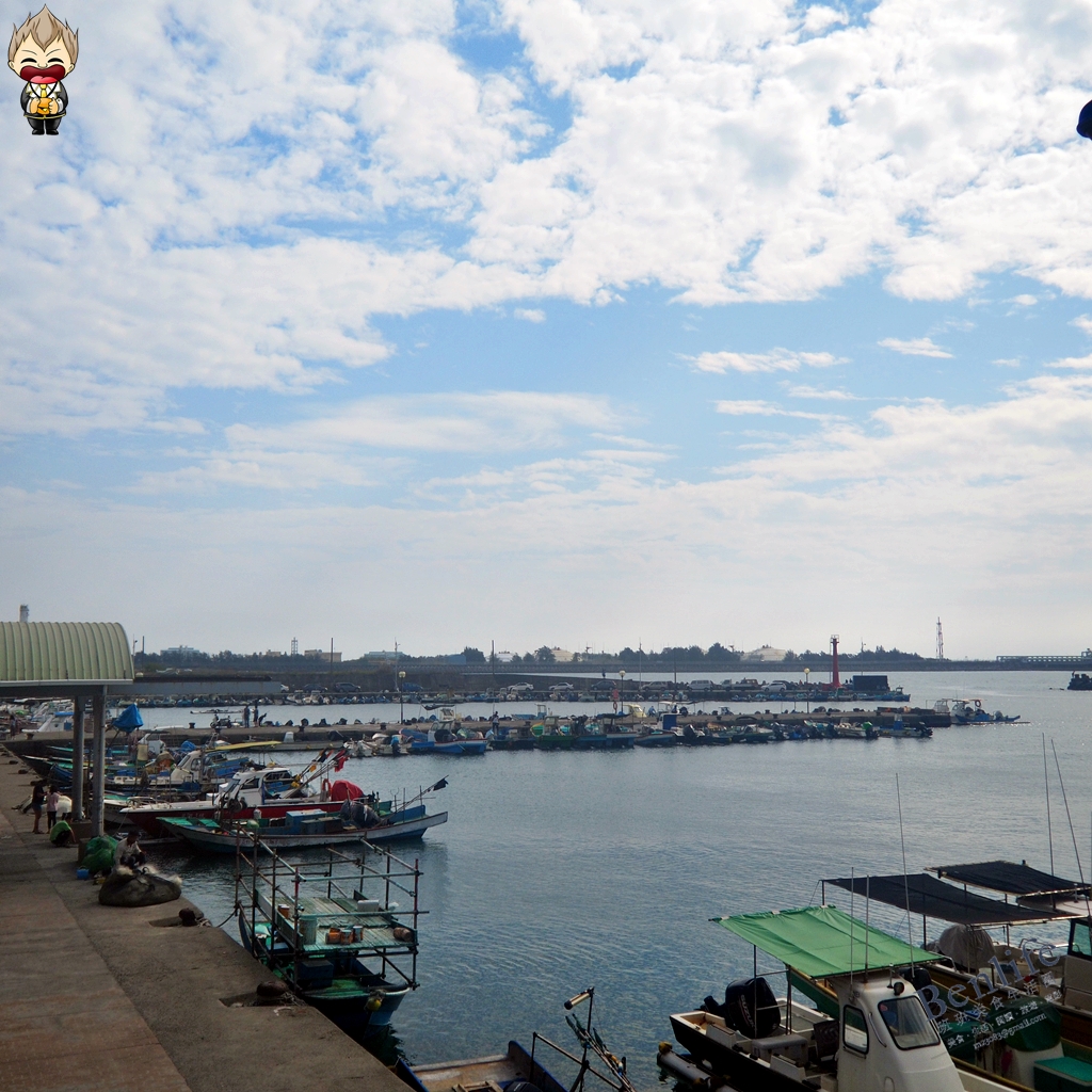 【高雄旅遊、高雄景點】高雄海線潮旅行 飛鳥魚海雙濕路之旅 濕地賞鳥超Chill 彩繪鹽田村有著日本時期痕跡 興達漁市買好買滿滿載而歸 高雄一日遊懶人包